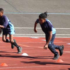 Return To School